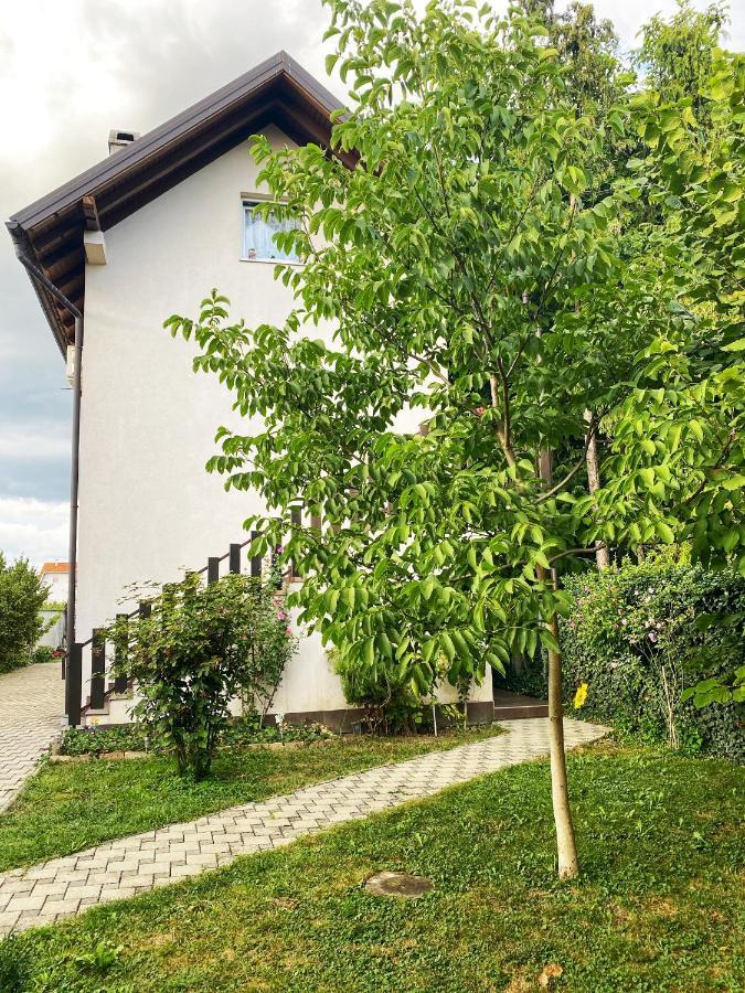 Hotel Guesthouse Stari Jasen Velika Mlaka Экстерьер фото